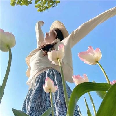 铁猴子传奇之战火雄威